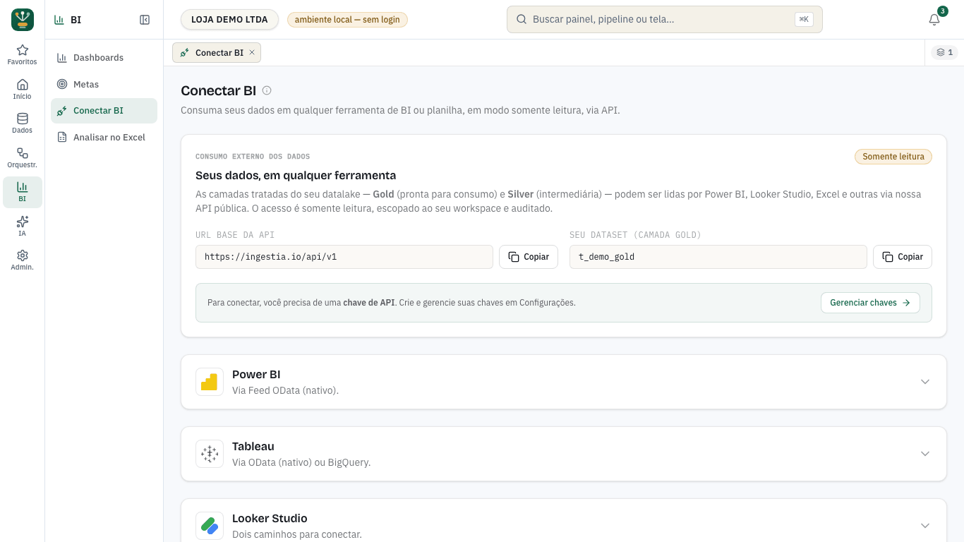 Screen for connecting external BI tools to the workspace's prepared layers in ingestia.io
